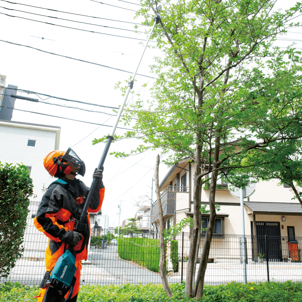 Makita 36v pole saw sale